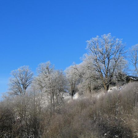SuiteHotel BELVEDERE Appart&Chalet Waldeck  Esterno foto