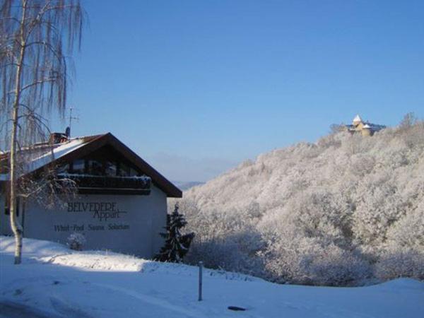 SuiteHotel BELVEDERE Appart&Chalet Waldeck  Esterno foto