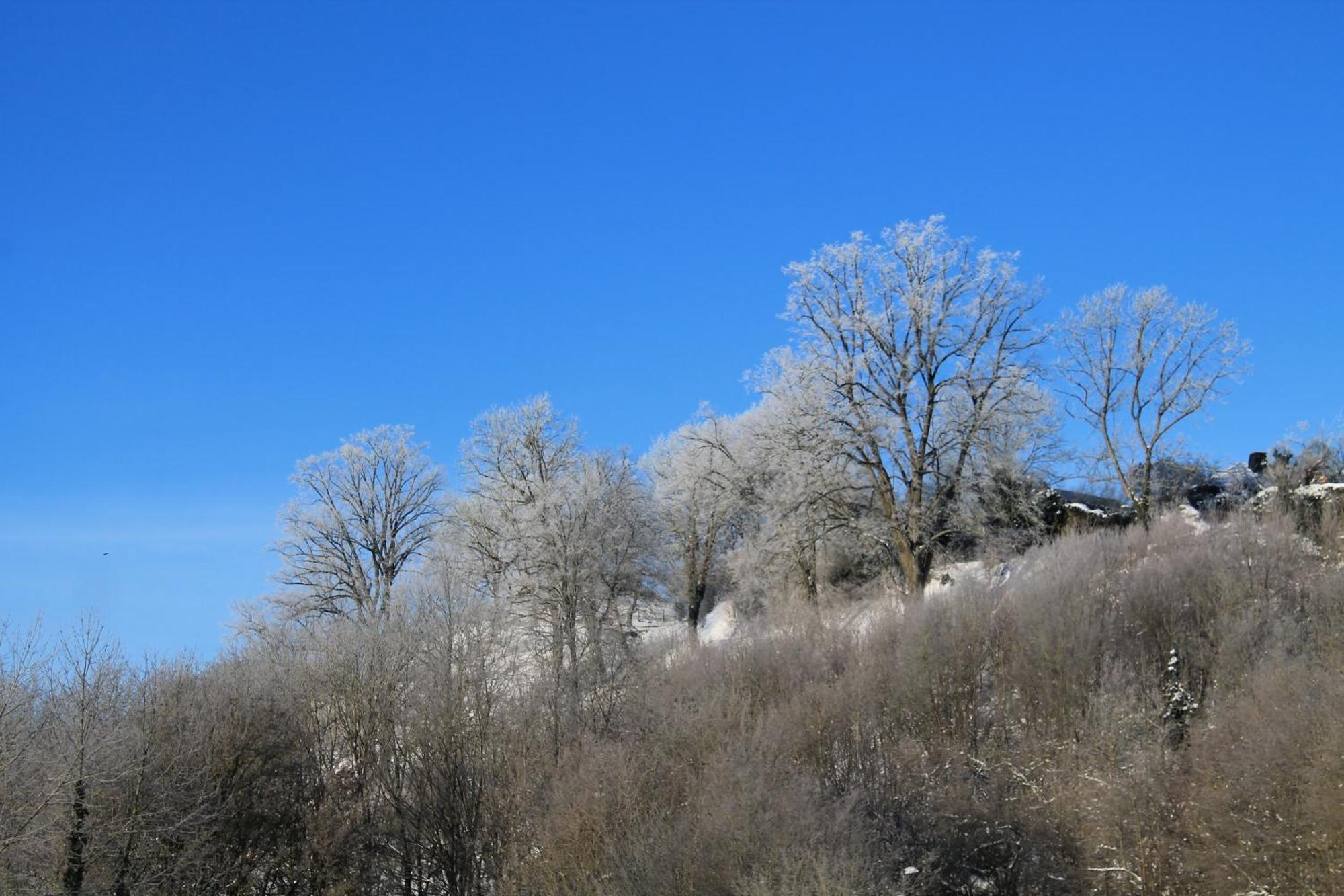 SuiteHotel BELVEDERE Appart&Chalet Waldeck  Esterno foto